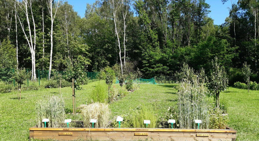 Śląski Ogród Botaniczny w Radzionkowie, Radzionków, Poland, Poland